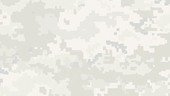 полковник Дзюба Володимир Володимирович